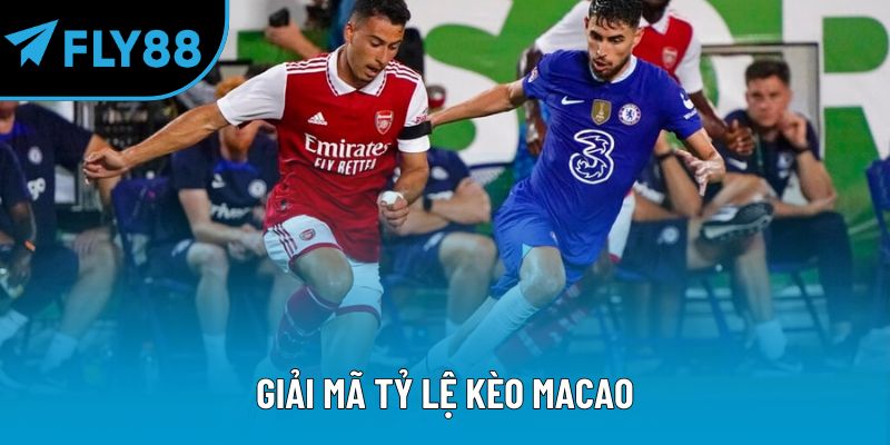Giải mã tỷ lệ kèo Macao